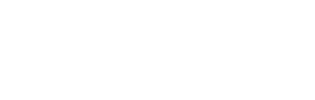 WerteUnion